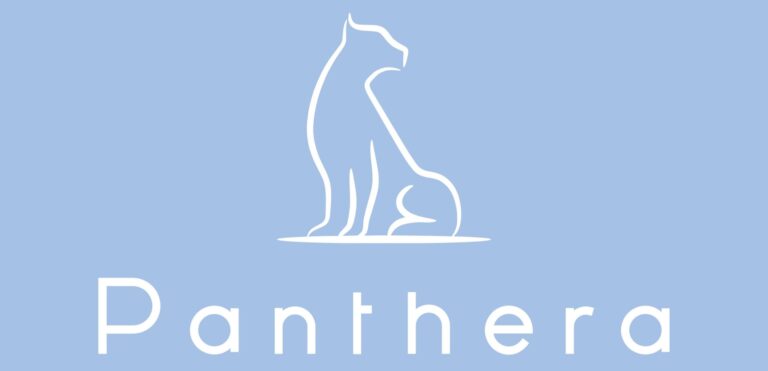 Panthera Security Solutions